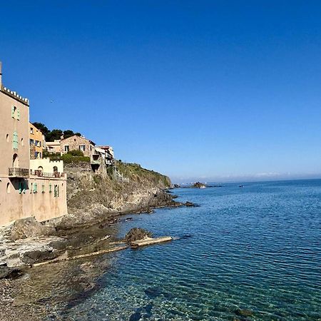 Studio Charmant En Centre Historique - 2 Couchages A Collioure - Fr-1-225-656 Exterior photo